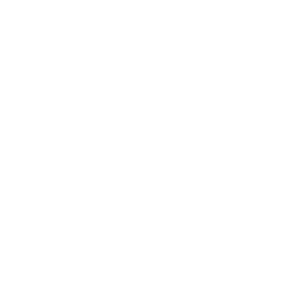 SW watermark